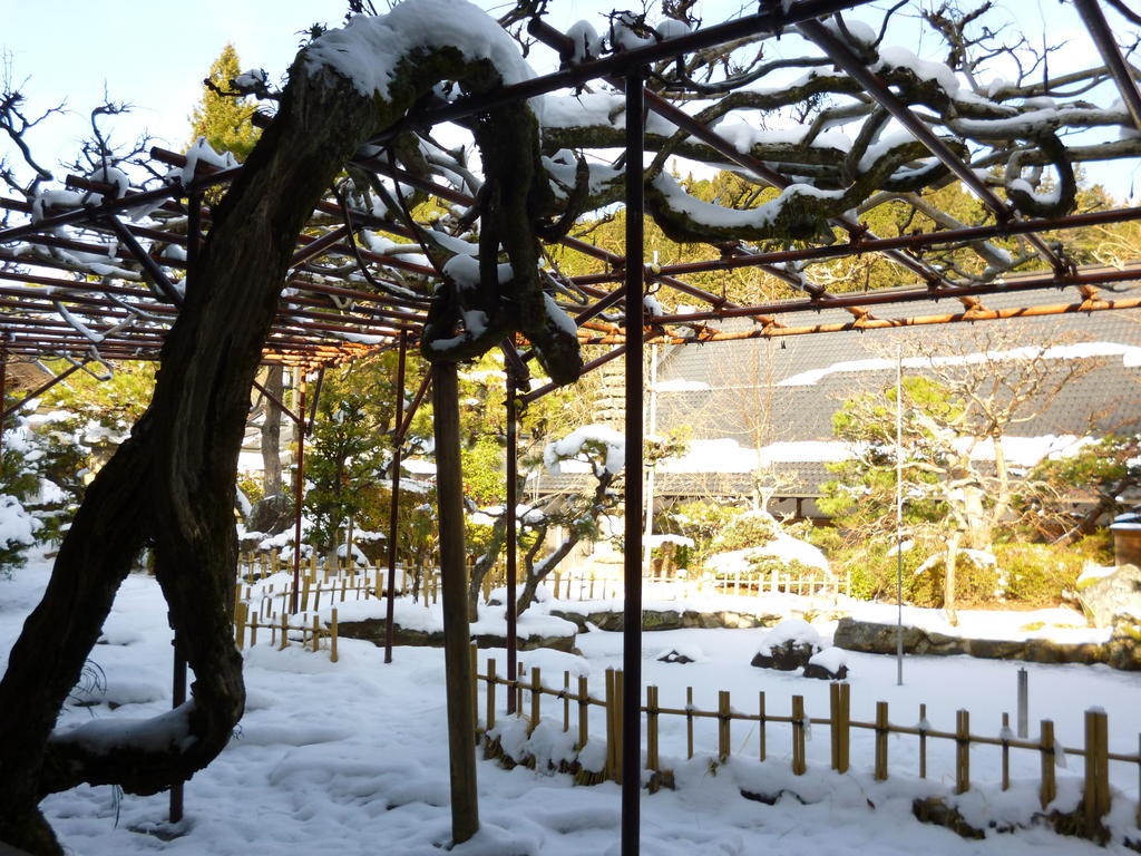 高野山 宿坊 熊谷寺 -Koyasan Shukubo Kumagaiji- Wakayama Exterior foto